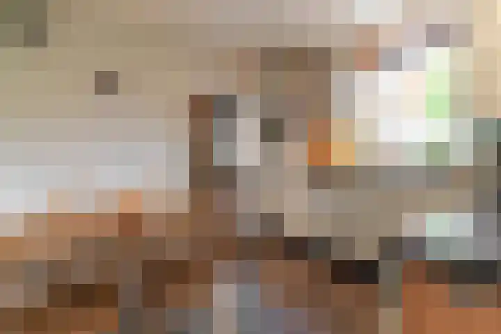 Looiwinkelstraat 30 Spaubeek thumbnail 10