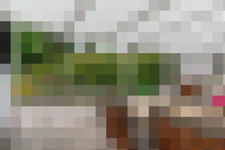 Looiwinkelstraat 30 Spaubeek thumbnail 35