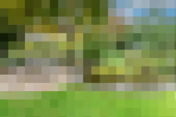 Looiwinkelstraat 30 Spaubeek thumbnail 38