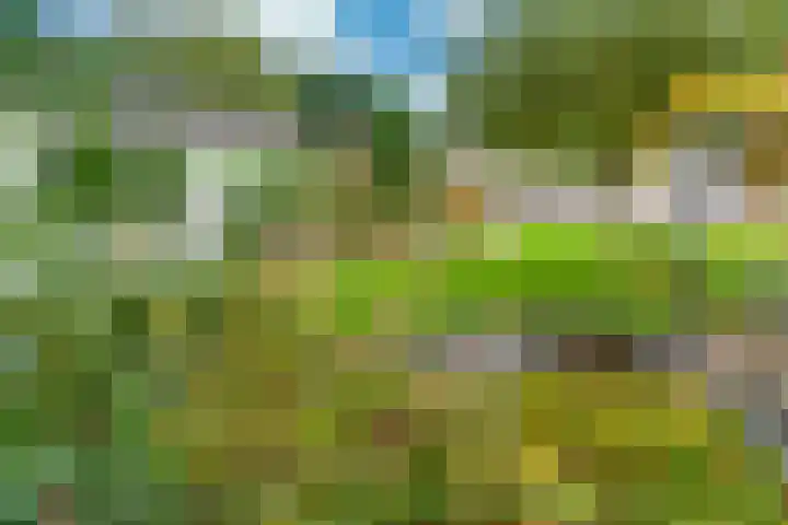 Looiwinkelstraat 30 Spaubeek thumbnail 39