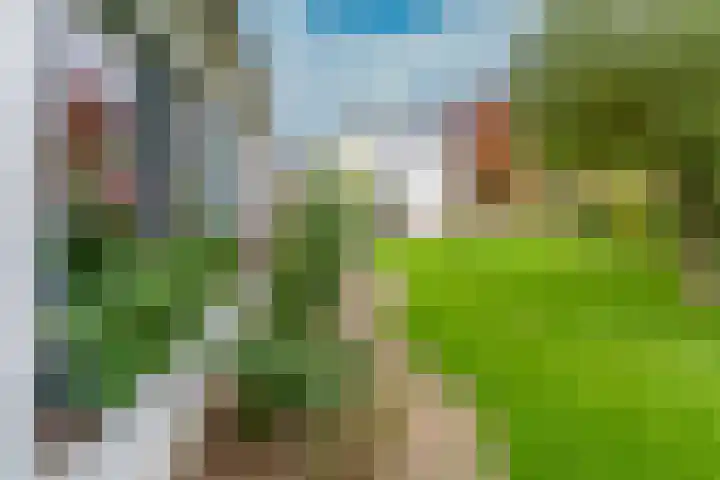 Looiwinkelstraat 30 Spaubeek thumbnail 40