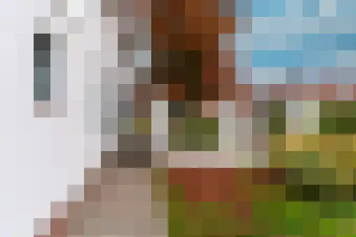 Looiwinkelstraat 30 Spaubeek thumbnail 41