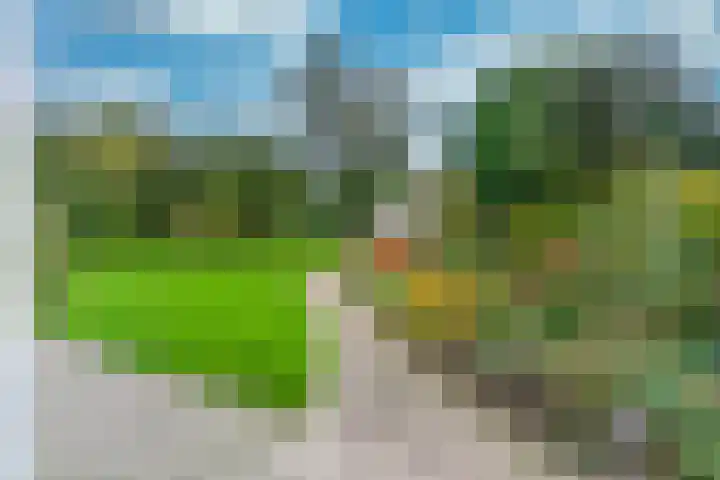 Looiwinkelstraat 30 Spaubeek thumbnail 44