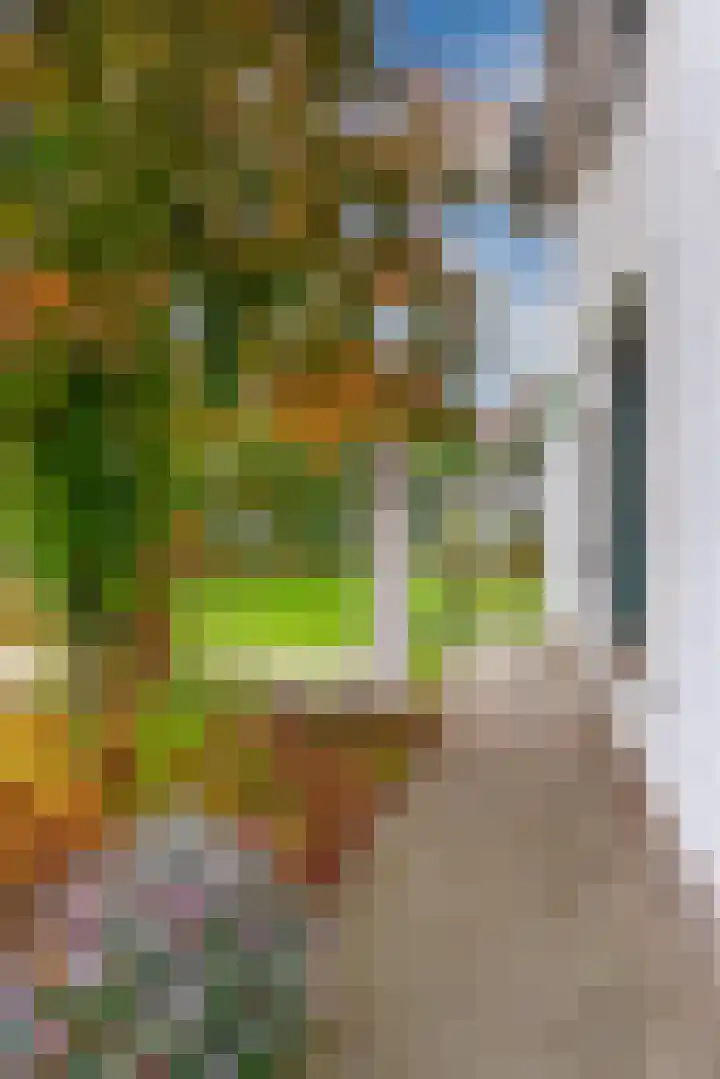 Looiwinkelstraat 30 Spaubeek thumbnail 45