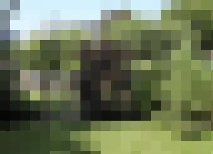 Looiwinkelstraat 30 Spaubeek thumbnail 49