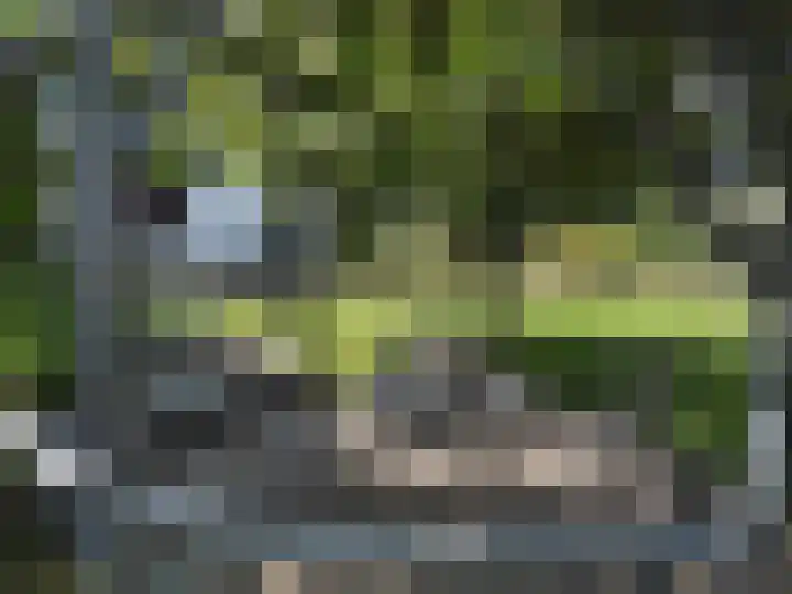 Looiwinkelstraat 30 Spaubeek thumbnail 50