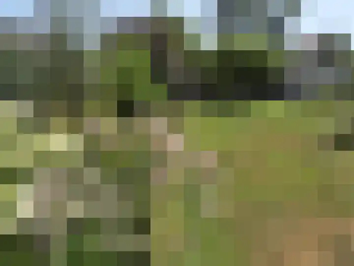 Looiwinkelstraat 30 Spaubeek thumbnail 51