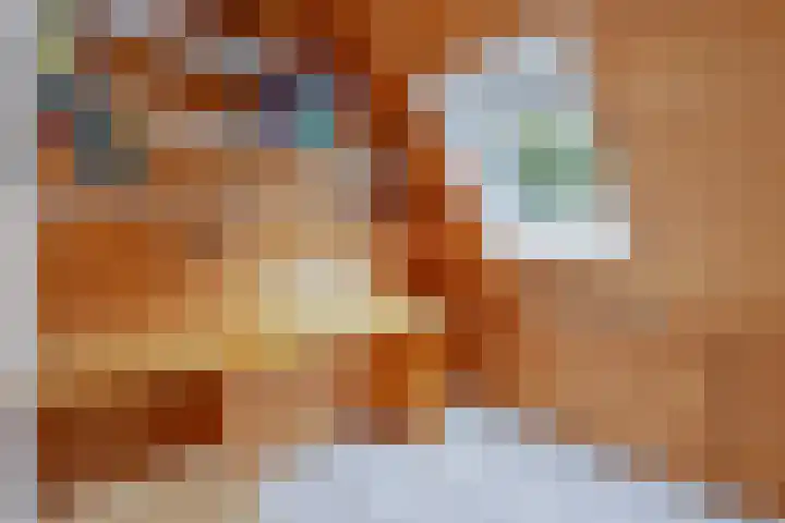 Loolaan 22 Halsteren thumbnail 16