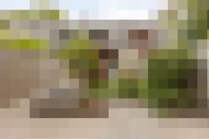 Loolaan 22 Halsteren thumbnail 22