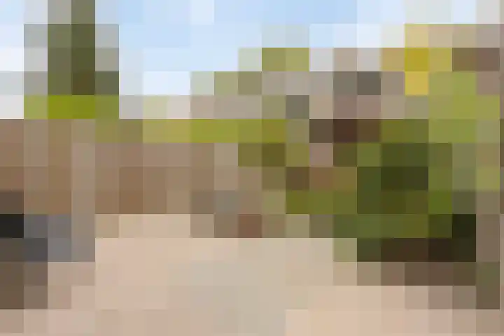 Loolaan 22 Halsteren thumbnail 23