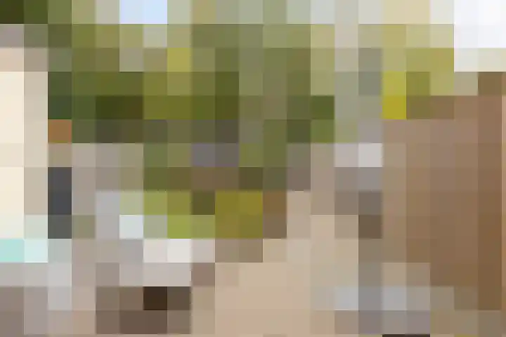 Loolaan 22 Halsteren thumbnail 24