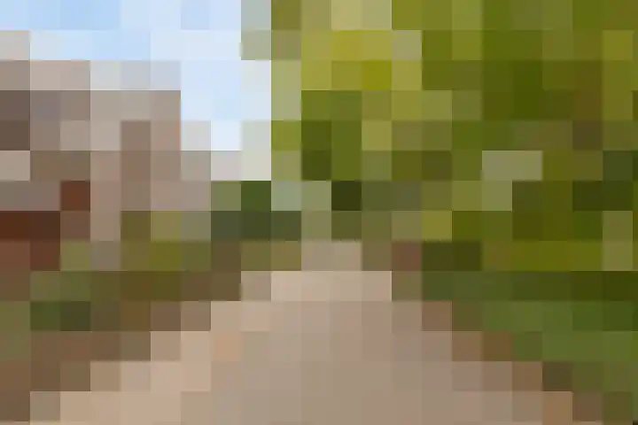 Loolaan 22 Halsteren thumbnail 30