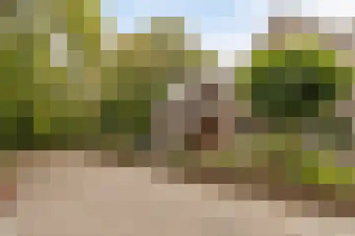 Loolaan 22 Halsteren thumbnail 31