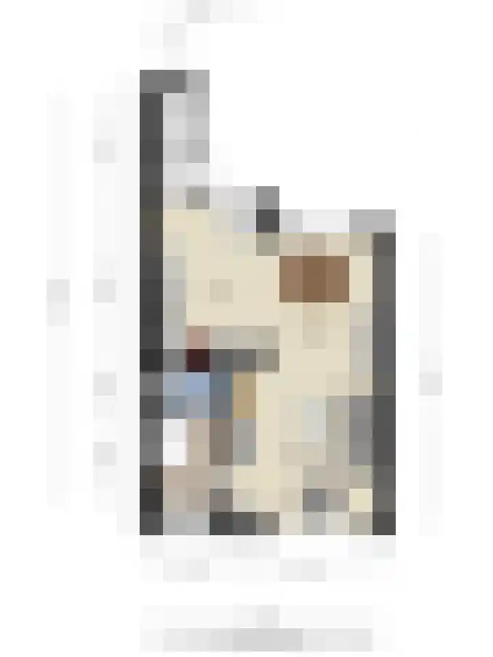 Loolaan 22 Halsteren thumbnail 33