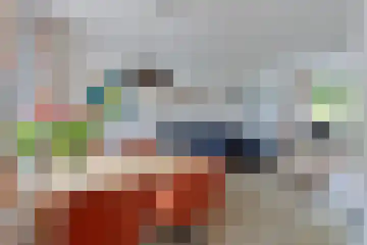 Loolaan 22 Halsteren thumbnail 8