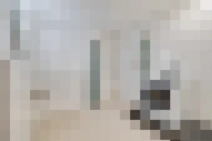 Loolaan 352 Apeldoorn thumbnail 19