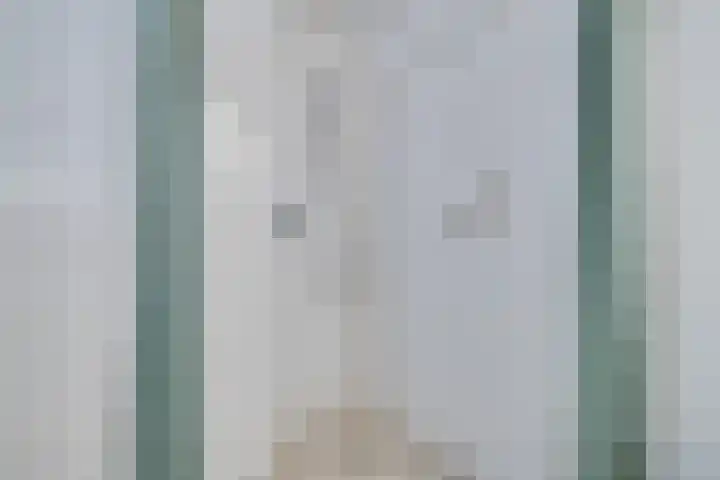 Loolaan 352 Apeldoorn thumbnail 21