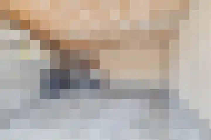 Loolaan 352 Apeldoorn thumbnail 26