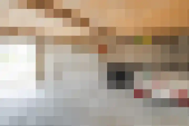Loolaan 352 Apeldoorn thumbnail 27
