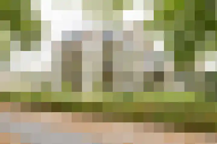 Loolaan 352 Apeldoorn thumbnail 32