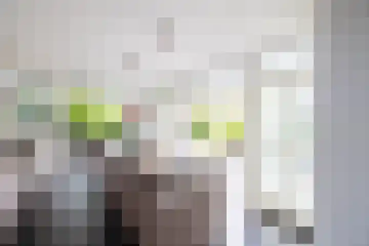 Loolaan 36 Doetinchem thumbnail 18