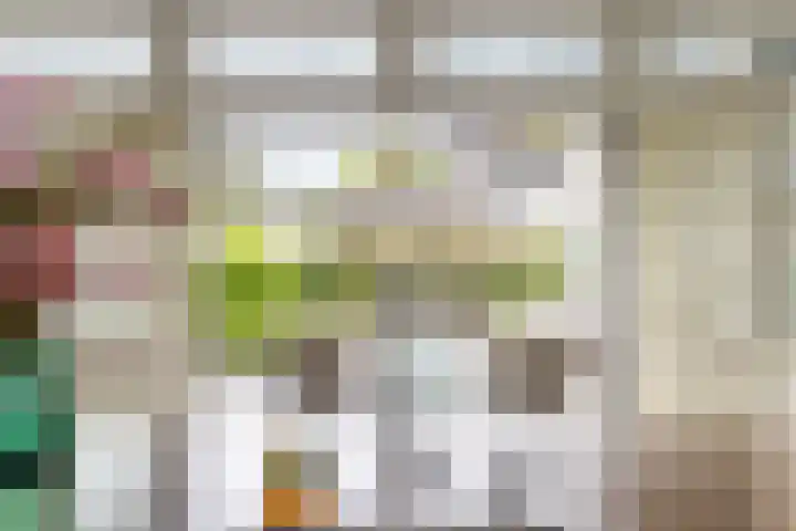Loolaan 36 Doetinchem thumbnail 20