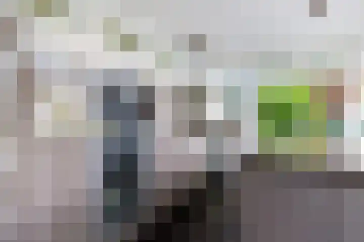 Loolaan 36 Doetinchem thumbnail 23