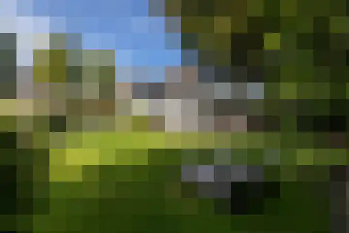 Loolaan 36 Doetinchem thumbnail 28