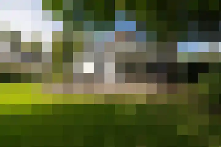 Loolaan 36 Doetinchem thumbnail 29