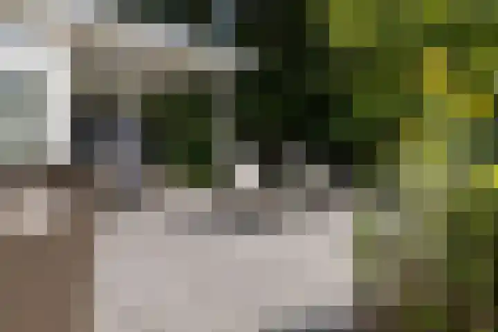 Loolaan 36 Doetinchem thumbnail 40