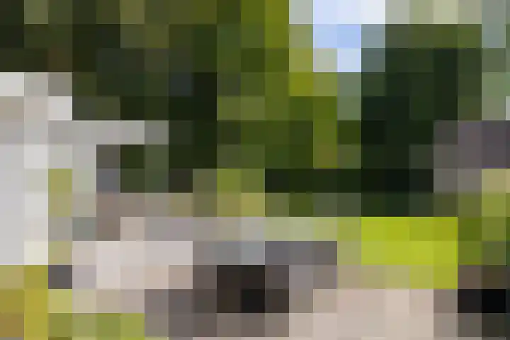 Loolaan 36 Doetinchem thumbnail 41