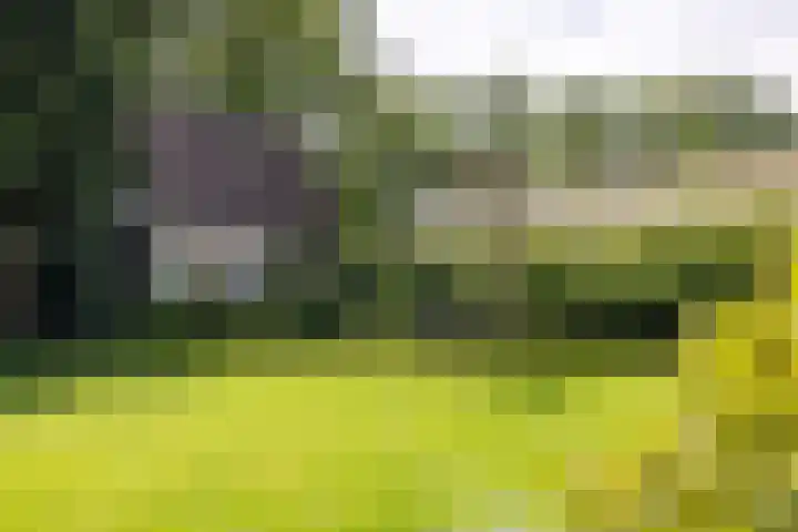 Loolaan 36 Doetinchem thumbnail 45