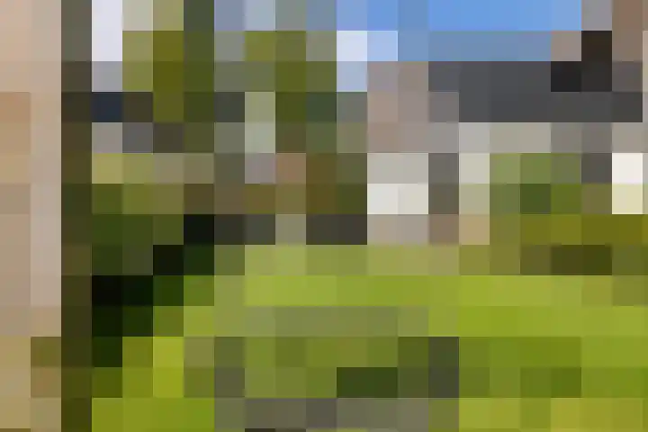 Loolaan 36 Doetinchem thumbnail 48