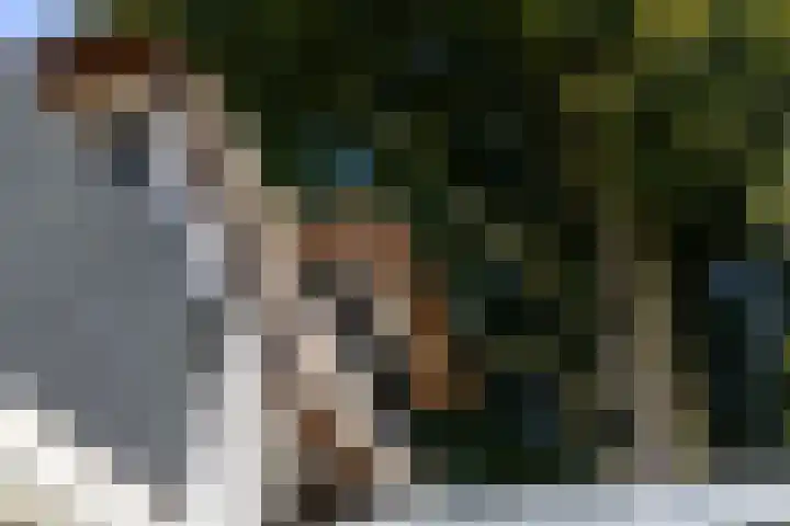 Loolaan 36 Doetinchem thumbnail 49