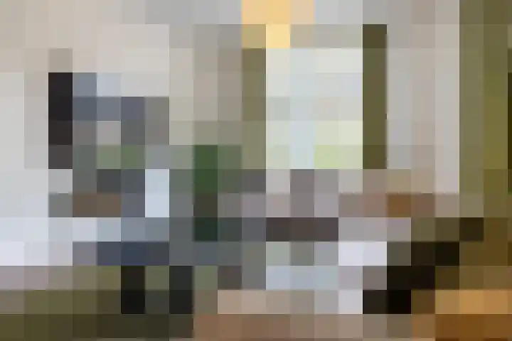 Loolaan 36 Doetinchem thumbnail 5