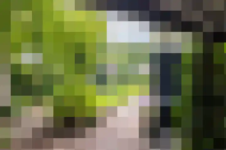 Loolaan 36 Doetinchem thumbnail 52