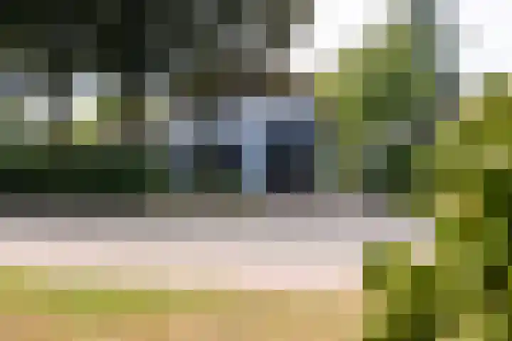 Loolaan 36 Doetinchem thumbnail 57