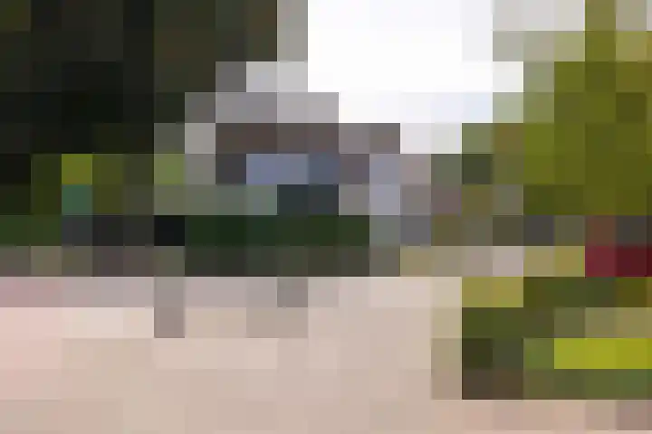 Loolaan 36 Doetinchem thumbnail 59