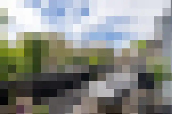 Loolaan 36 Doetinchem thumbnail 66