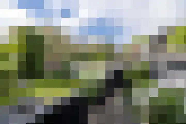 Loolaan 36 Doetinchem thumbnail 67