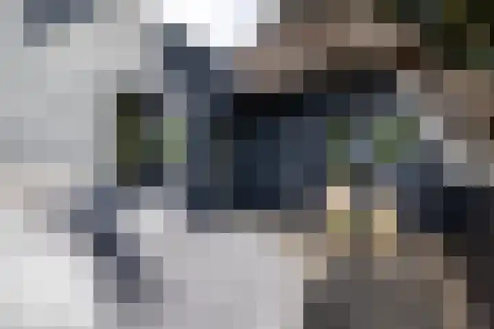 Loolaan 36 Doetinchem thumbnail 68