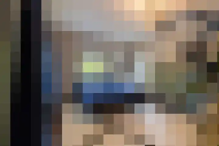 Loolaan 36 Doetinchem thumbnail 73