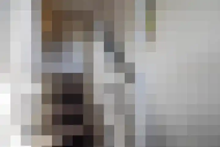 Loolaan 36 Doetinchem thumbnail 83