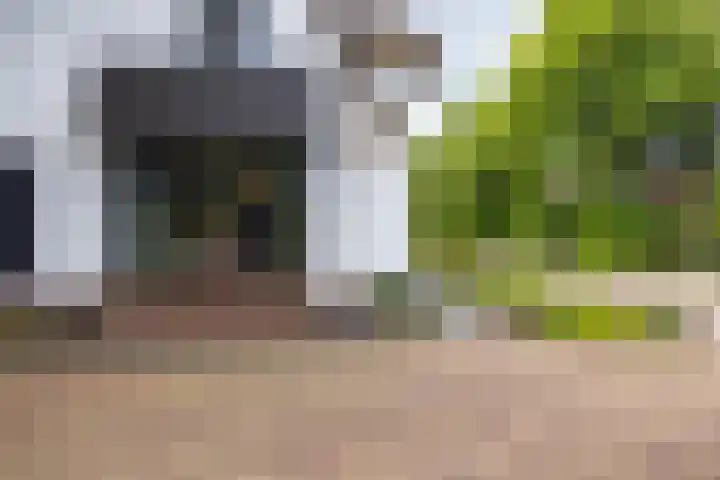 Loolaan 36 Doetinchem thumbnail 84