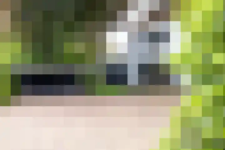 Loolaan 36 Doetinchem thumbnail 86