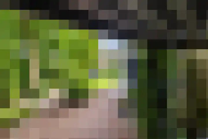 Loolaan 36 Doetinchem thumbnail 88