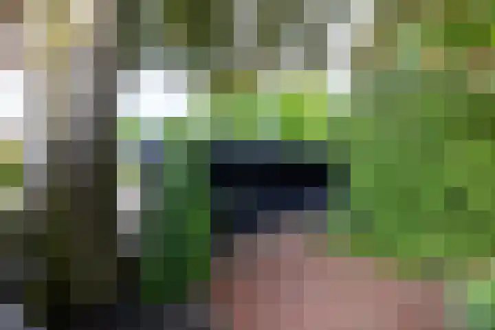 Loolaan 36 Doetinchem thumbnail 89