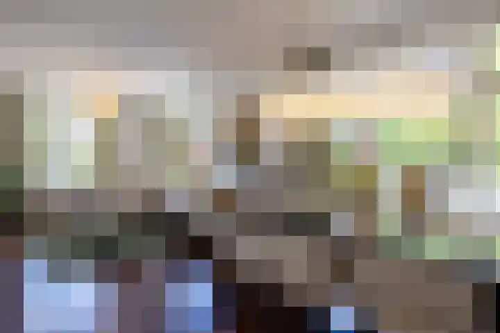 Loolaan 36 Doetinchem thumbnail 9