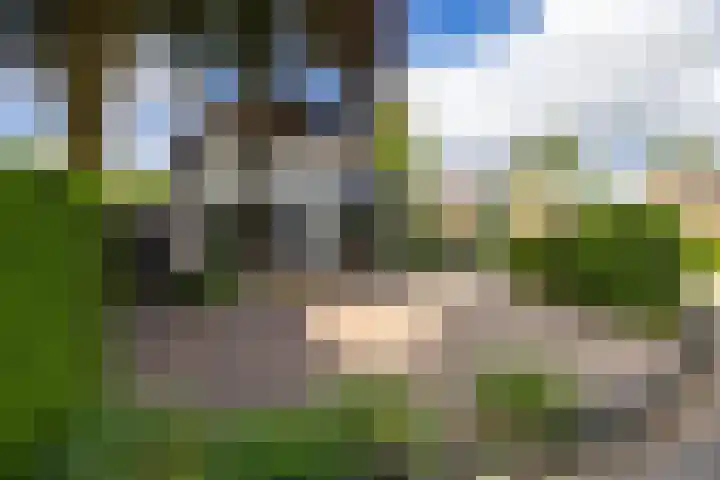 Loolaan 36 Doetinchem thumbnail 90