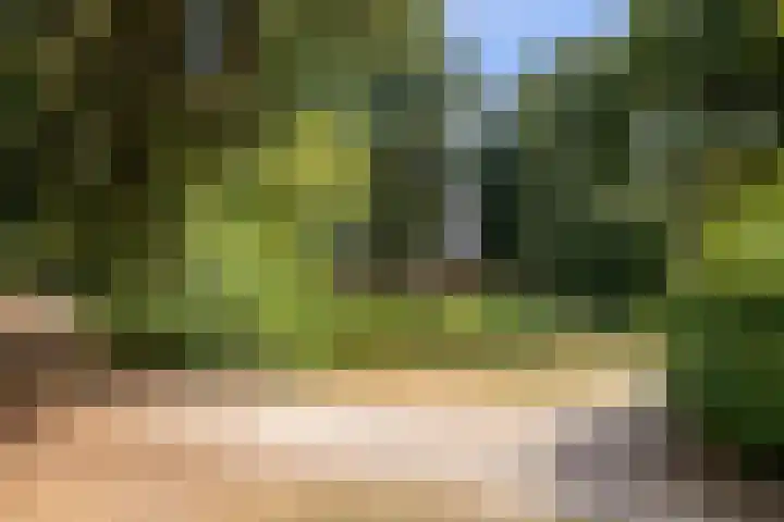 Loolaan 36 Doetinchem thumbnail 92